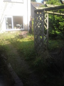 Renovatie Achtertuin Aankomst