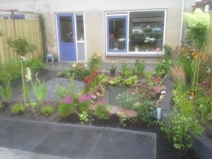 Renovatie Achtertuin Aanzicht2