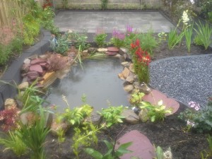 Renovatie Achtertuin Overzicht1