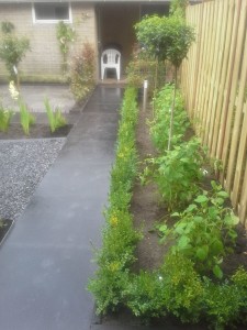R_Plantenvak_Achtertuin