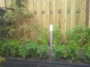 Renovatie Achtertuin Verlichting