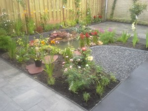 R_Vijver_Achtertuin